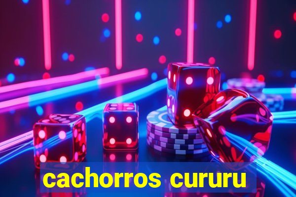 cachorros cururu